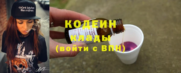 индика Чита