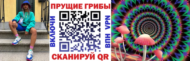blacksprut ТОР  Набережные Челны  Галлюциногенные грибы Cubensis 